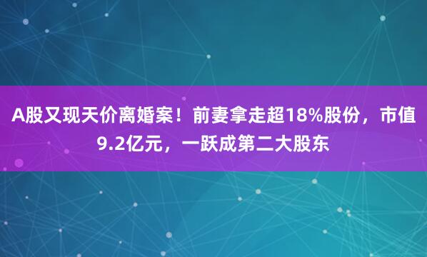 A股又现天价离婚案！前妻拿走超18%股份，市值9.2亿元，一跃成第二大股东