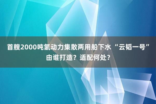 首艘2000吨氢动力集散两用船下水 “云韬一号”由谁打造？适配何处？