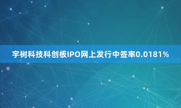 宇树科技科创板IPO网上发行中签率0.0181%