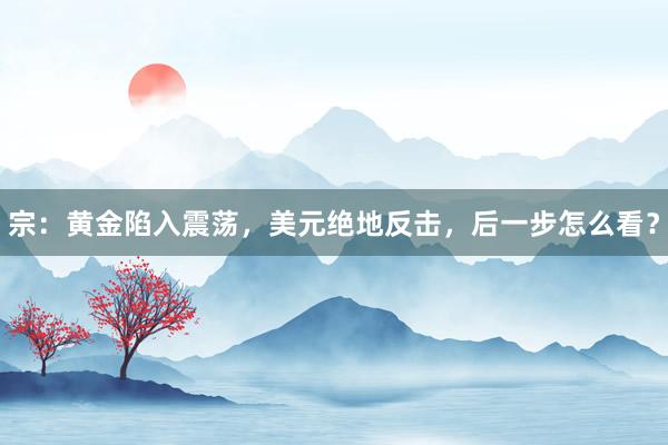 宗：黄金陷入震荡，美元绝地反击，后一步怎么看？