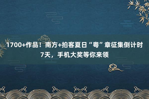 1700+作品！南方+拍客夏日“粤”章征集倒计时7天，手机大奖等你来领
