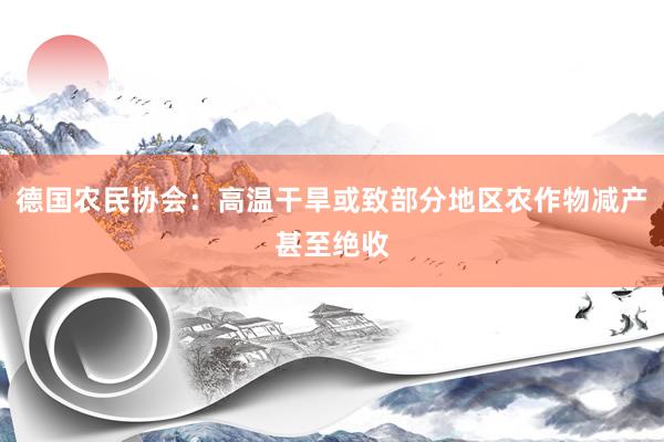 德国农民协会：高温干旱或致部分地区农作物减产甚至绝收