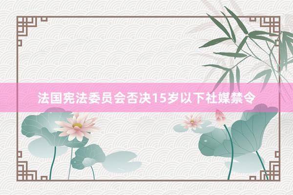法国宪法委员会否决15岁以下社媒禁令