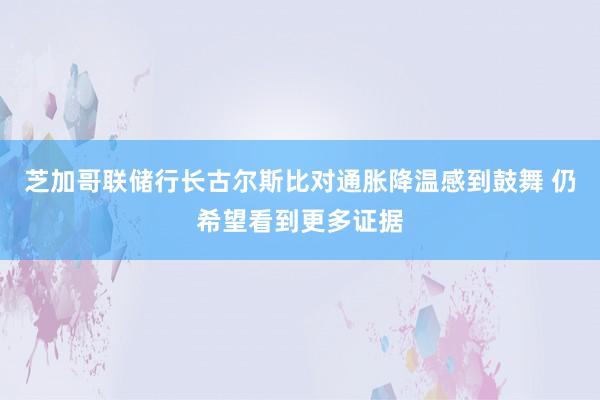 芝加哥联储行长古尔斯比对通胀降温感到鼓舞 仍希望看到更多证据