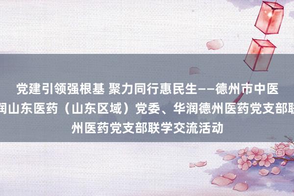 党建引领强根基 聚力同行惠民生——德州市中医院党委、华润山东医药（山东区域）党委、华润德州医药党支部联学交流活动