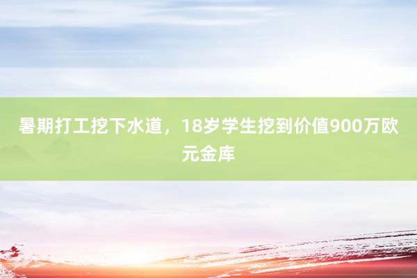 暑期打工挖下水道，18岁学生挖到价值900万欧元金库