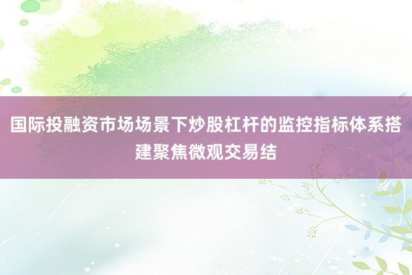 国际投融资市场场景下炒股杠杆的监控指标体系搭建聚焦微观交易结