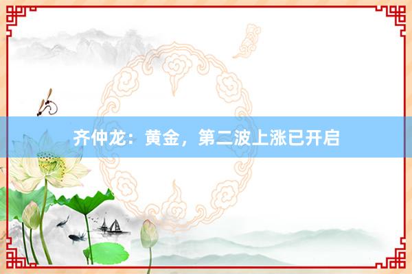 齐仲龙：黄金，第二波上涨已开启