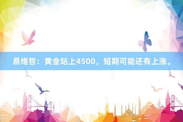 易维哲：黄金站上4500，短期可能还有上涨。