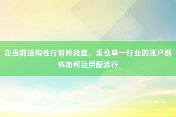 在当前结构性行情阶段里，重仓单一行业的账户群体如何运用配资行