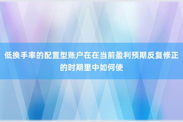 低换手率的配置型账户在在当前盈利预期反复修正的时期里中如何使