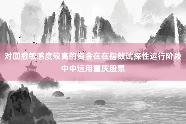对回撤敏感度较高的资金在在指数试探性运行阶段中中运用重庆股票