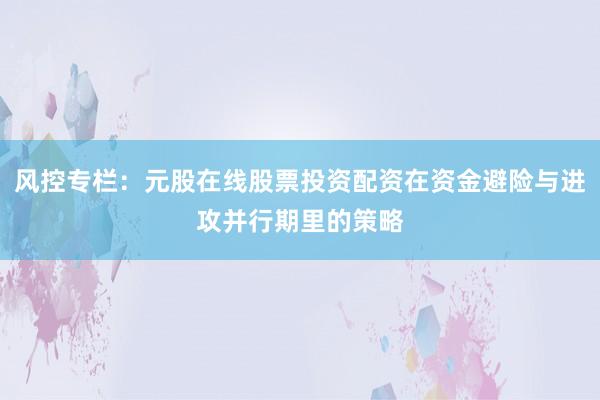 风控专栏：元股在线股票投资配资在资金避险与进攻并行期里的策略