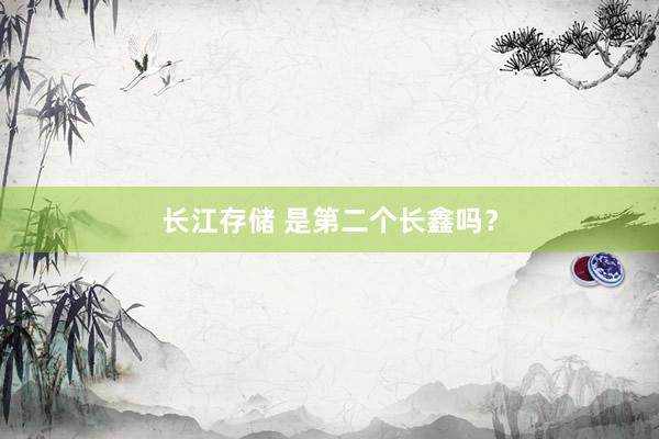 长江存储 是第二个长鑫吗？