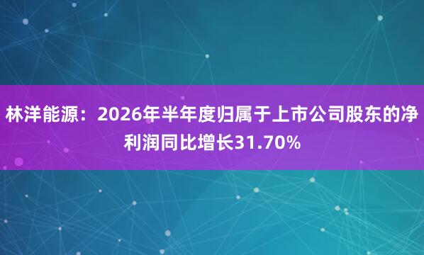 林洋能源：2026年半年度归属于上市公司股东的净利润同比增长31.70%