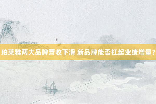 珀莱雅两大品牌营收下滑 新品牌能否扛起业绩增量？
