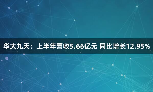 华大九天：上半年营收5.66亿元 同比增长12.95%