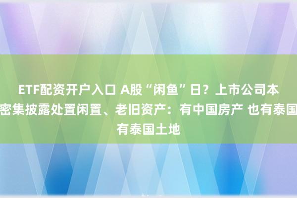 ETF配资开户入口 A股“闲鱼”日？上市公司本周五密集披露处置闲置、老旧资产：有中国房产 也有泰国土地