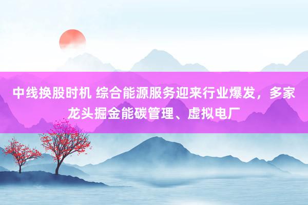 中线换股时机 综合能源服务迎来行业爆发，多家龙头掘金能碳管理、虚拟电厂