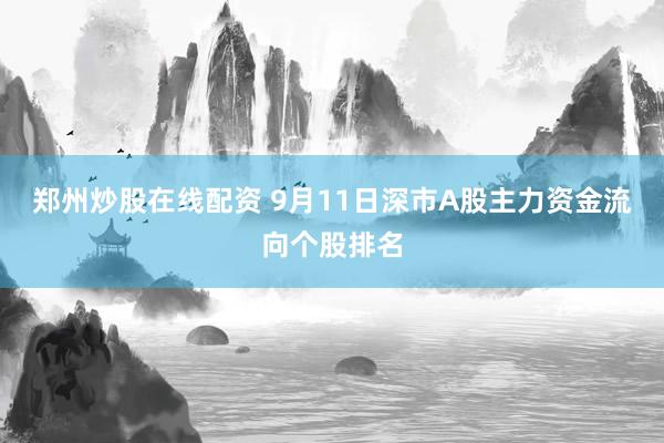 郑州炒股在线配资 9月11日深市A股主力资金流向个股排名