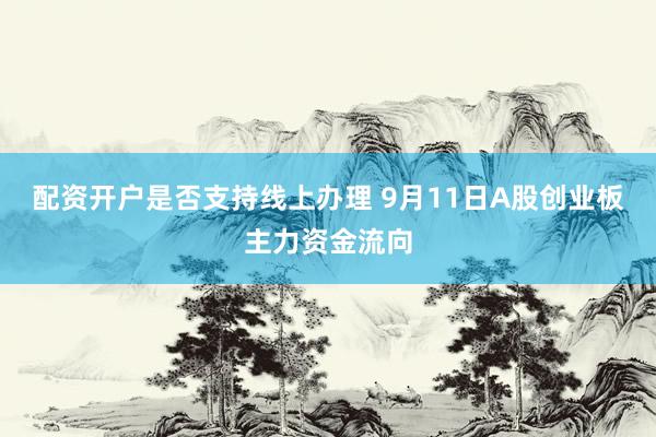 配资开户是否支持线上办理 9月11日A股创业板主力资金流向