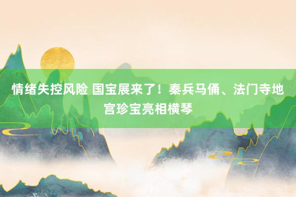 情绪失控风险 国宝展来了！秦兵马俑、法门寺地宫珍宝亮相横琴