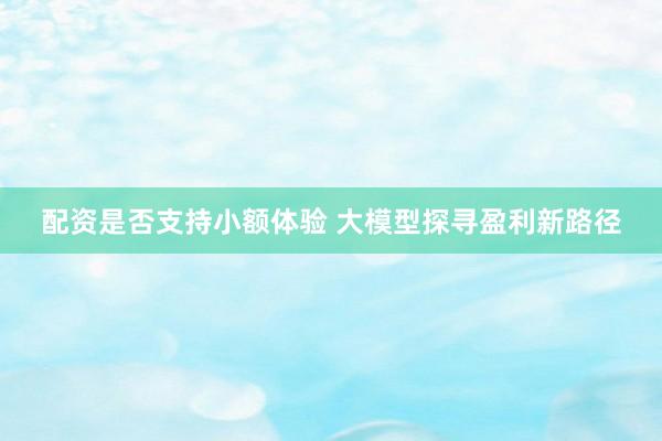 配资是否支持小额体验 大模型探寻盈利新路径