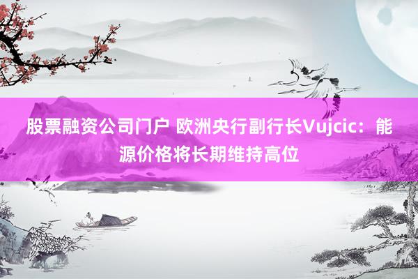 股票融资公司门户 欧洲央行副行长Vujcic：能源价格将长期维持高位