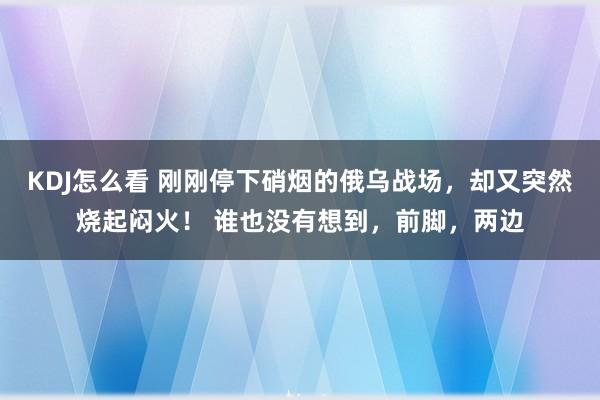 KDJ怎么看 刚刚停下硝烟的俄乌战场，却又突然烧起闷火！ 谁也没有想到，前脚，两边