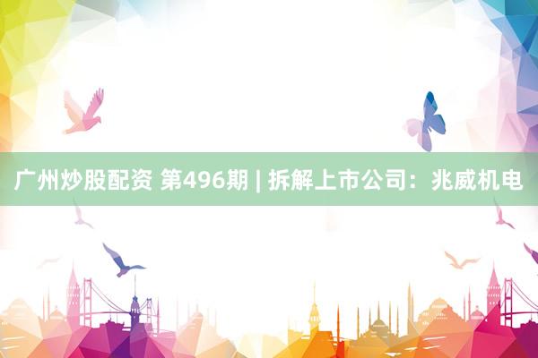广州炒股配资 第496期 | 拆解上市公司：兆威机电